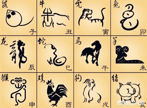 属相测算