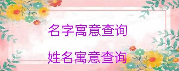 姓名寓意查询