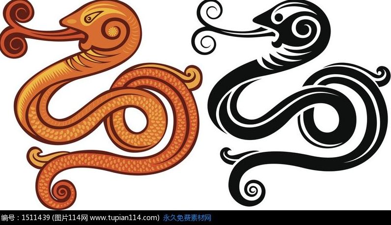 蛇生肖今年几岁