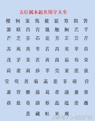芯字五行属什么