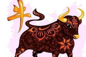 牛年是什么命