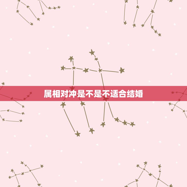 生肖对冲是什么意思