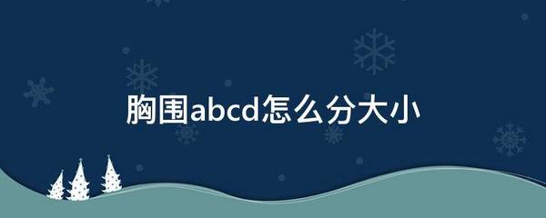 胸围abcd怎么分大小