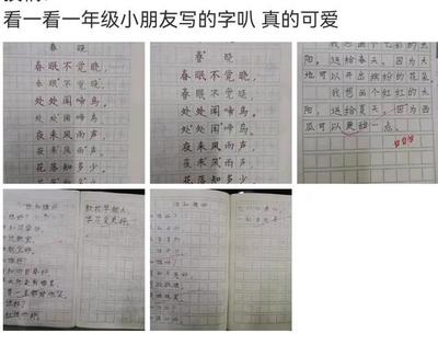 意外的发现200字作文怎么写