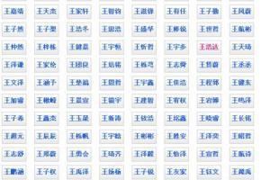 姓王男孩子名字大全