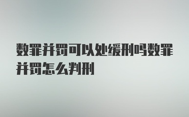 数罪并罚可以缓刑吗