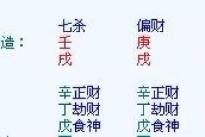 八字忌用神查询