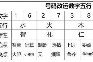 智五行属什么