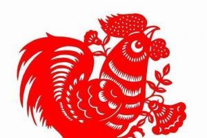 属鸡五行属什么
