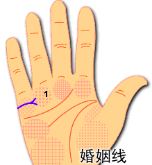如何看手相婚姻线