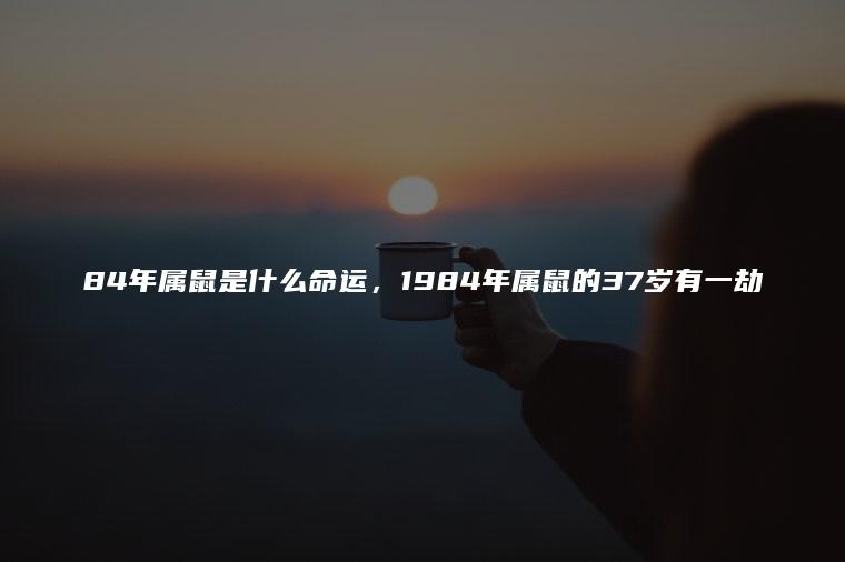84年鼠什么命