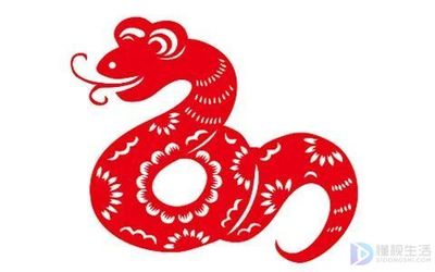 想是什么生肖