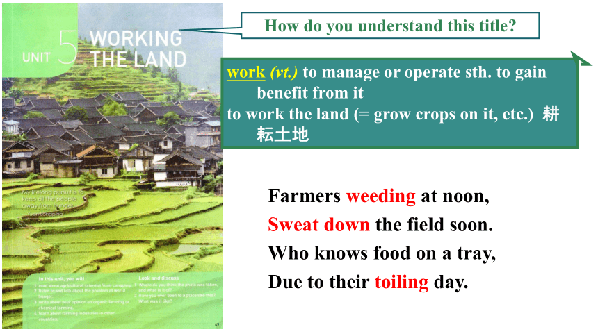 Field的英文