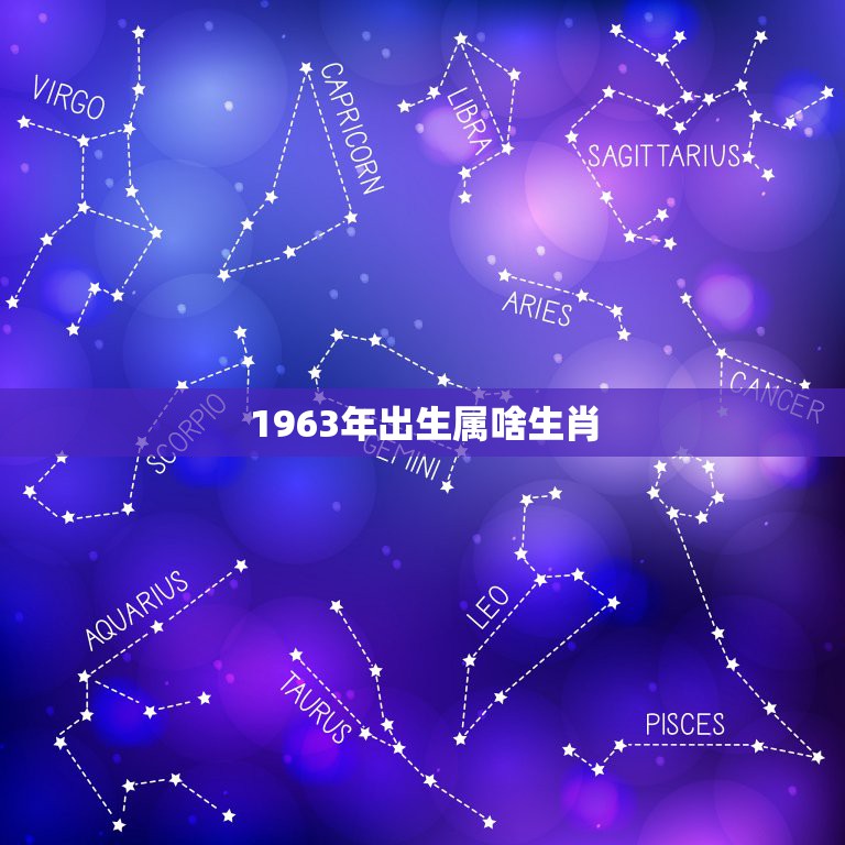 63年属什么生肖配对