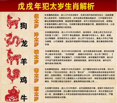 属什么生肖最有钱
