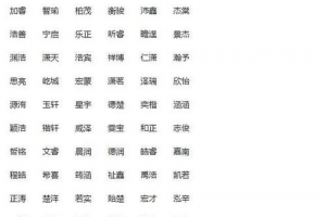 姓陈男宝宝名字大全