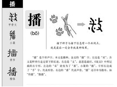 潘字五行属什么