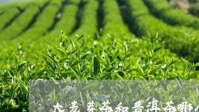 哺乳期能喝茶叶茶吗