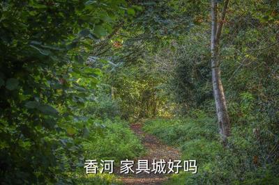 河北榆木家具批发市场