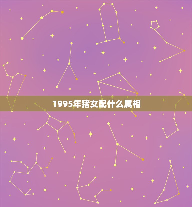 1995年什么属相