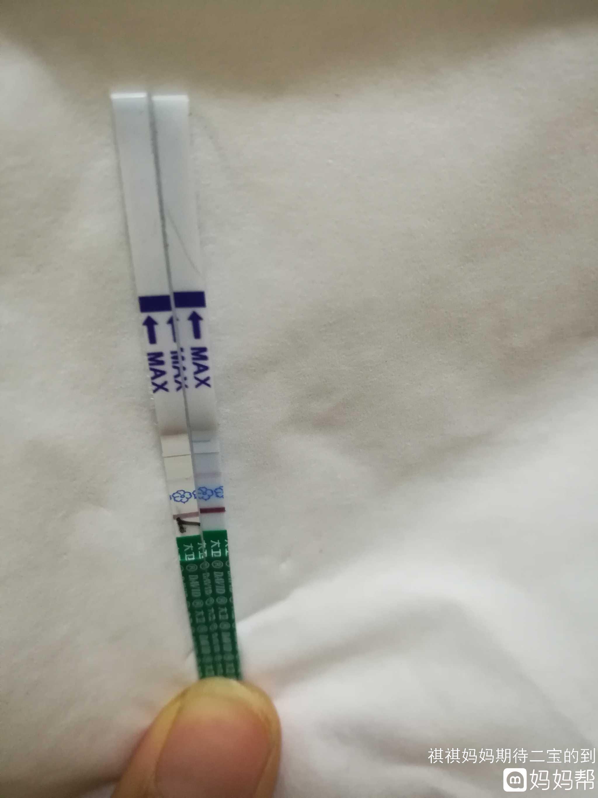 一般排卵期有什么症状
