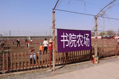 最大气农场名字大全