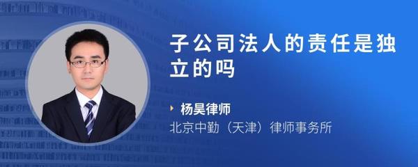 子公司是独立法人吗