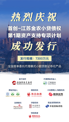 小额贷款公司贷款