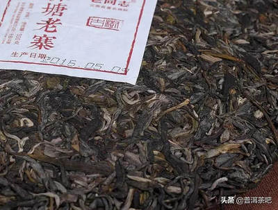 普洱茶在哪里生产