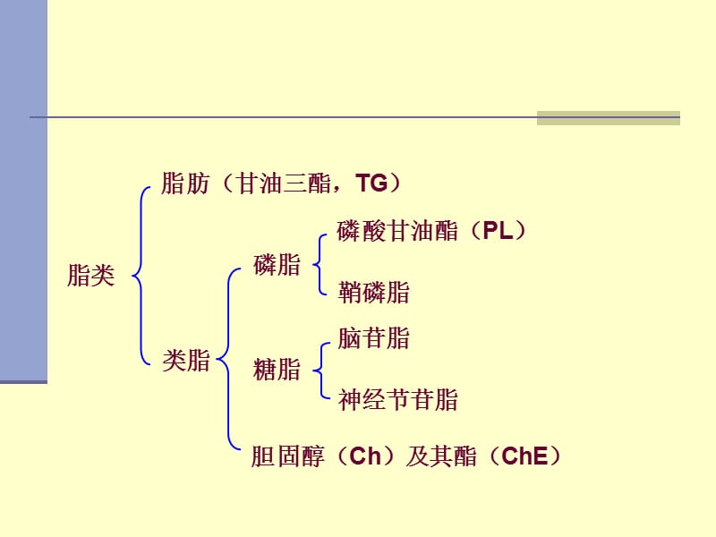 神经节苷脂的功效