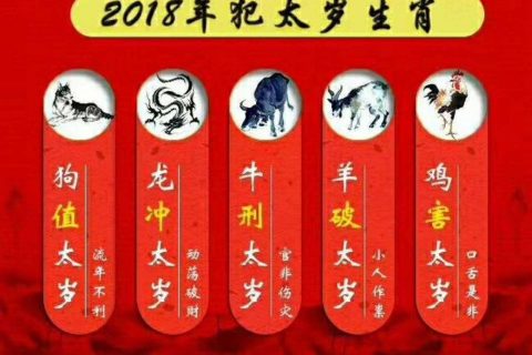 属虎女和属羊男
