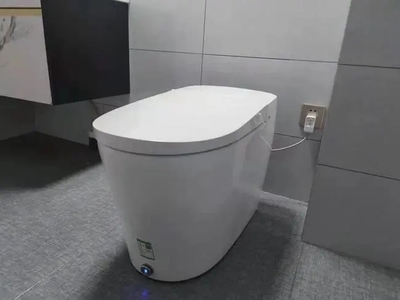 智能马桶堵了