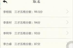 取名打分100分