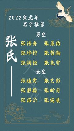 姓张女孩名字洋气二字
