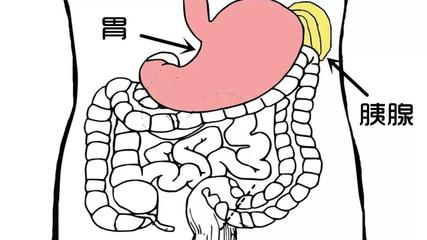 左边大肠疼是怎么回事