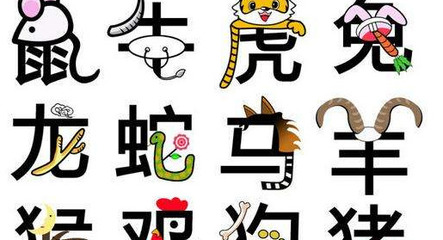 生肖对冲是什么意思