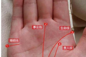男左手婚姻线图解大全