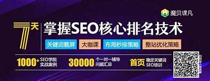 Google seo 培训班(goole国外网站)