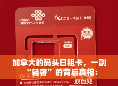 如何利用国内虚拟主机实现免费的国内短信发送服务？(虚拟主机与短信服务的结合案例)