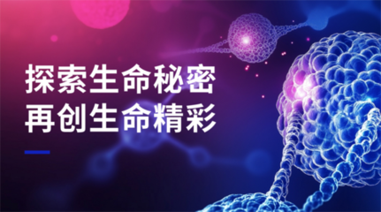 国际十大娱乐正规网址技术架构展示墙