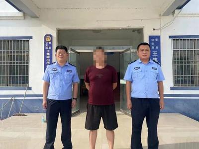 投案自首的法律规定