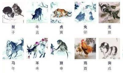 双肖是指哪些生肖
