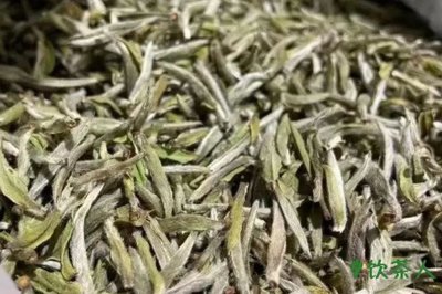 福鼎白茶哪个牌子正宗