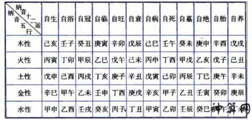 魁五行属什么