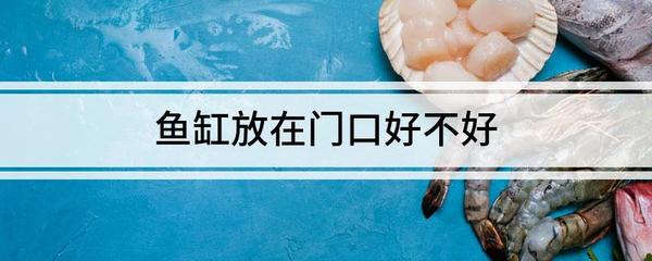 蕪湖觀賞魚批發(fā)市場(chǎng)電話號(hào)碼（蕪湖賣魚的地方）