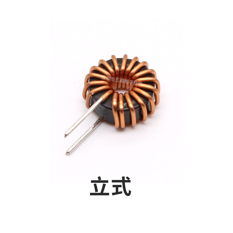 什么叫磁是电子吗