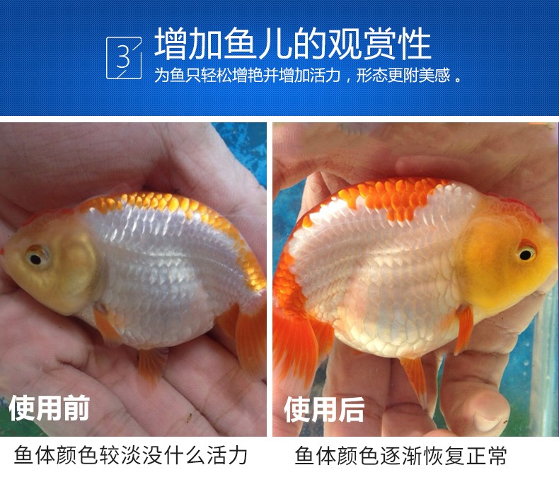 魚(yú)缸玻璃裁切尺寸計(jì)算器圖片（魚(yú)缸玻璃裁切尺寸計(jì)算器圖片大全）