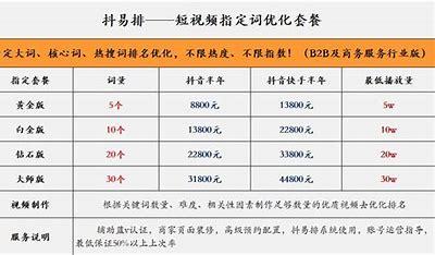 湛江市seo优化价格(湛江少林学校价格表)