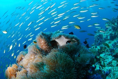 大理白族自治州水族館vs祥龍魚場（大理白族自治州水族館與祥龍魚場各有特色）