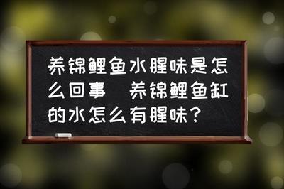 淘寶金龍魚苗（淘寶金龍魚苗可以購(gòu)買嗎?）